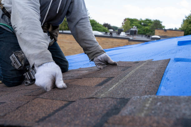 Best Asphalt Shingle Roofing  in Forest, VA