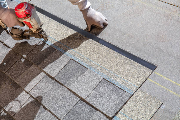 Best Asphalt Shingles Roofing  in Forest, VA
